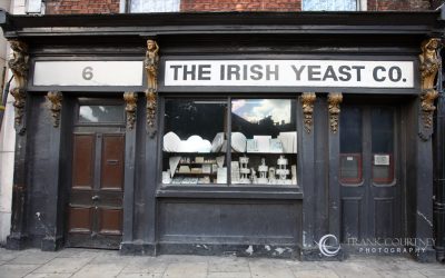 The Irish Yeast Co