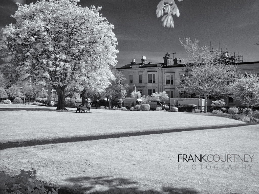 Cristhwaite Park in Dún Laoghaire photographed using an infrared filter
